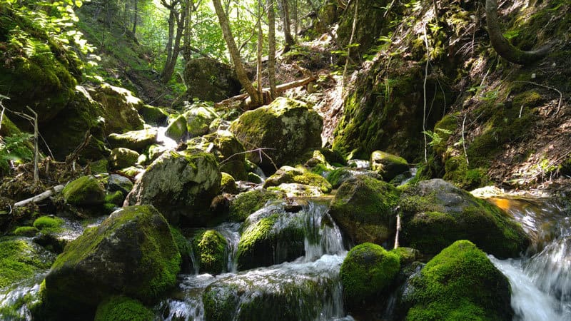 Third Vault Falls: The actual Third Vault Falls Third Vault Falls: The actual Third Vault Falls.