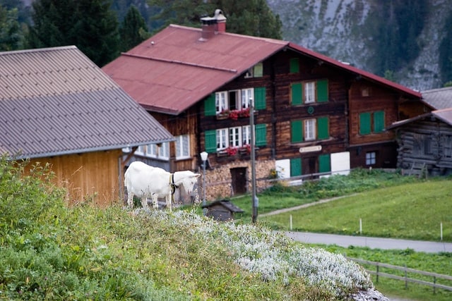swiss chocolate factory, swiss chocolate tours