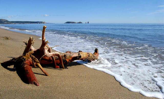 Best Snorkeling in Europe - Medes Islands