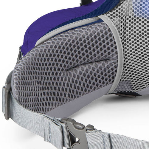 Ariel IsoForm Hipbelt
