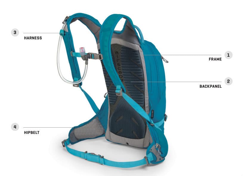 Raptor Harness And Backpanel