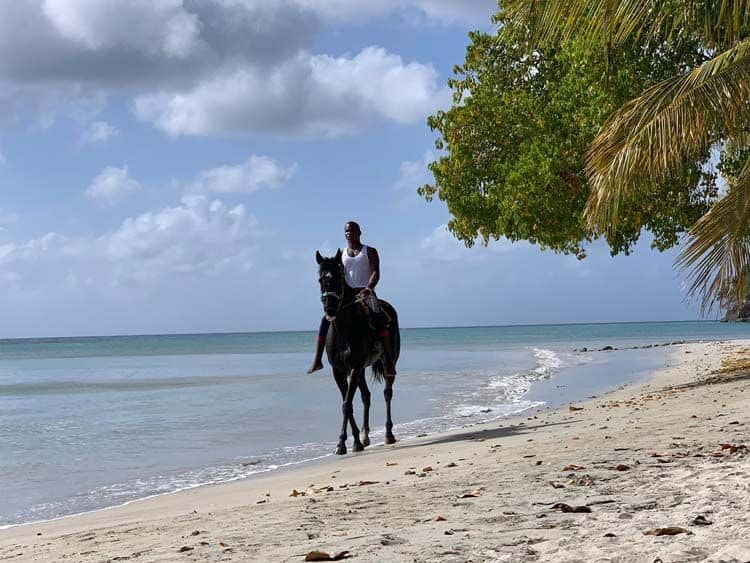 Local riding horse, South West Bay, Providencia