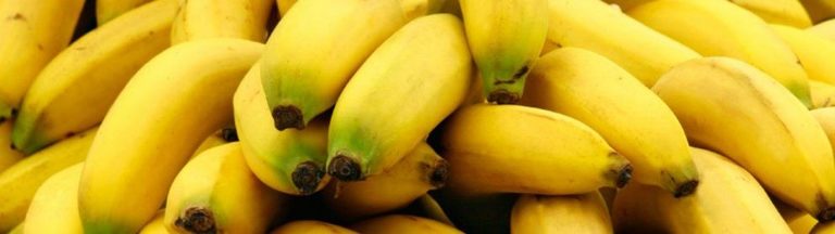 Go Bananas at the Banana Festival ? Expert World Travel