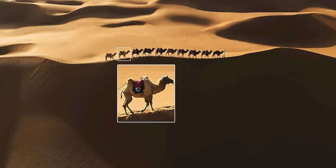 DJI Mavic Air 2.0 Camera