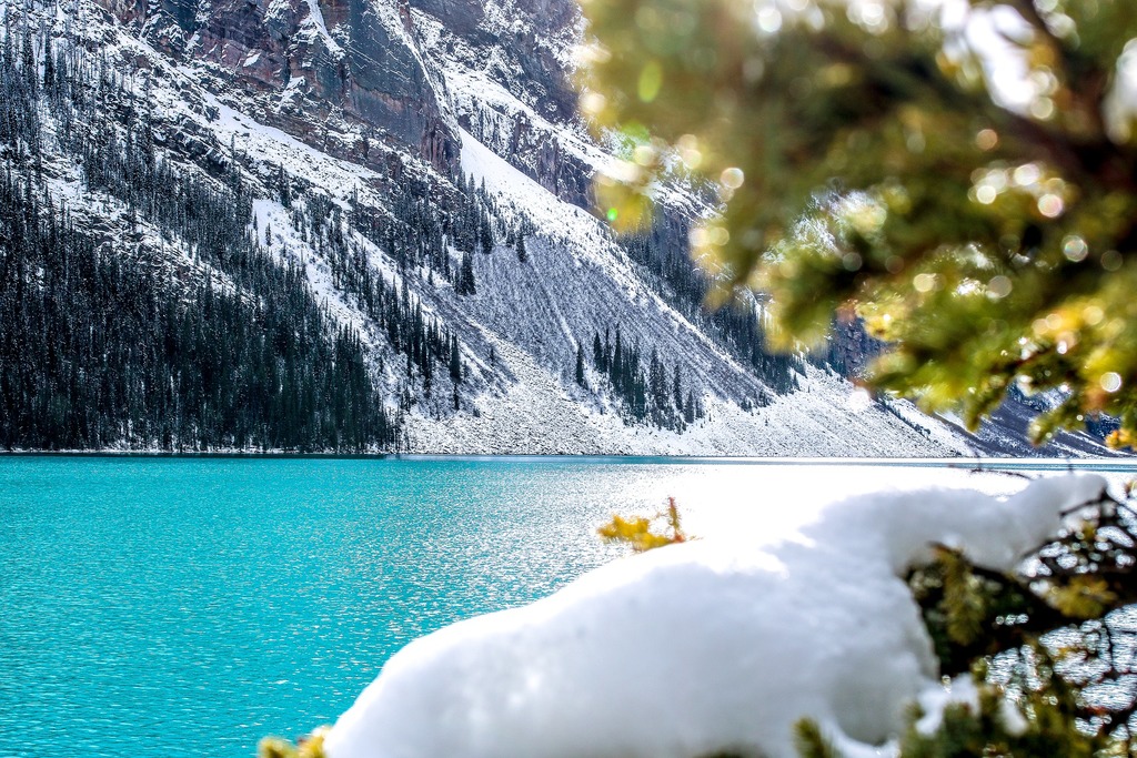 lake louise best ski resort canada