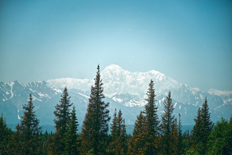 Denali Alaska