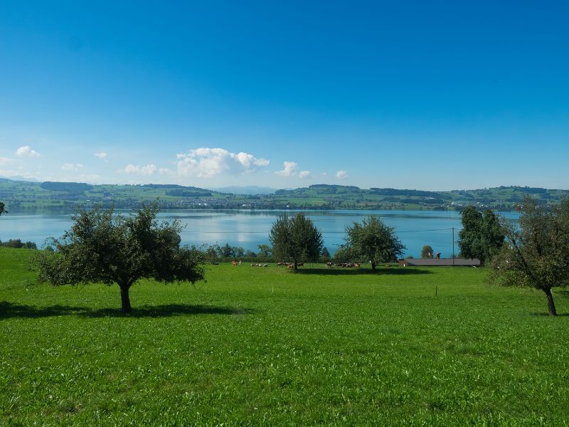 Lake Sempach