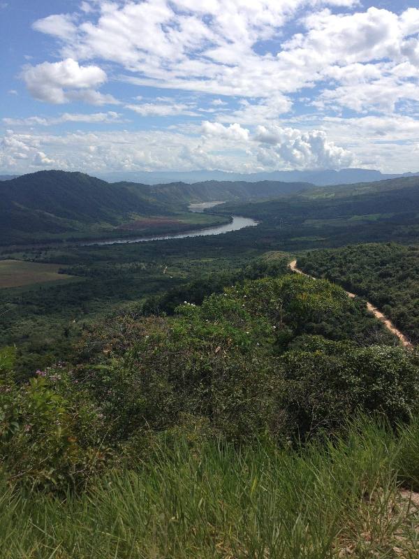 Tarapoto Jungle