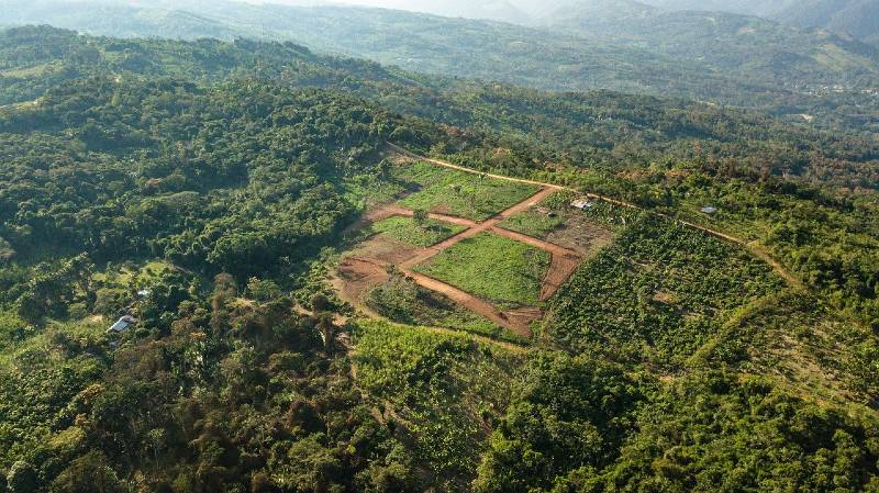 Tarapoto Peru