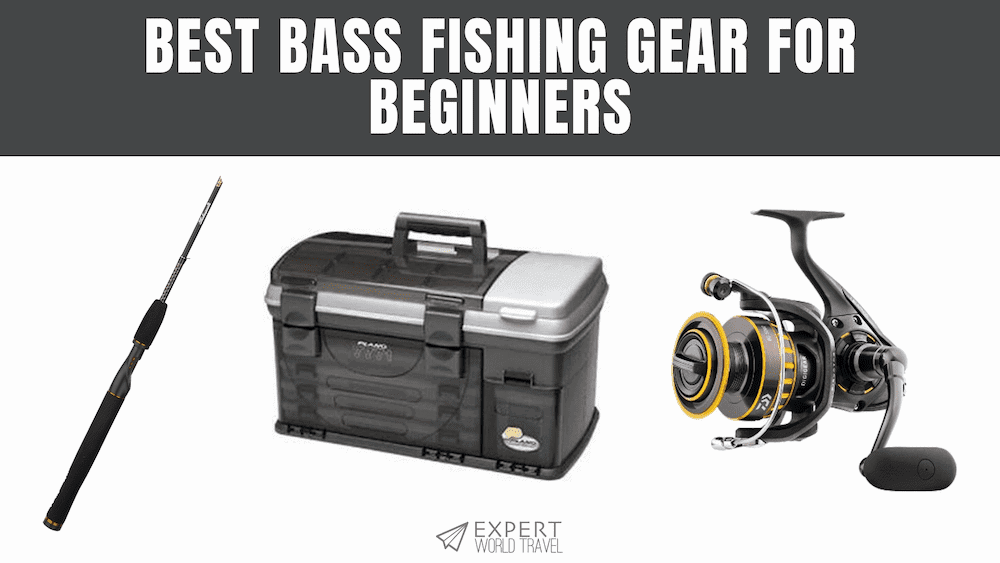 Best Bass Fishing Gear for Beginners ⋆ Expert World Travel