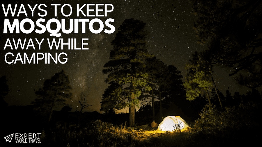 Ways To Keep Mosquitos Away While Camping ⋆ Expert World Travel