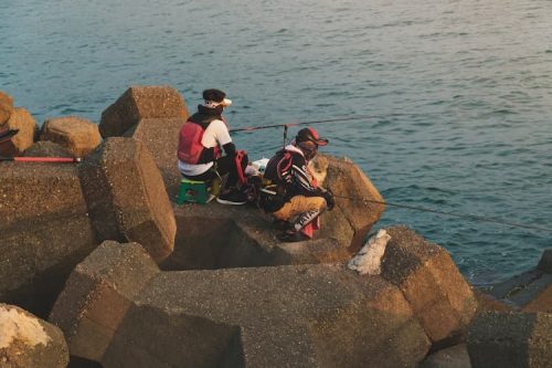fishing