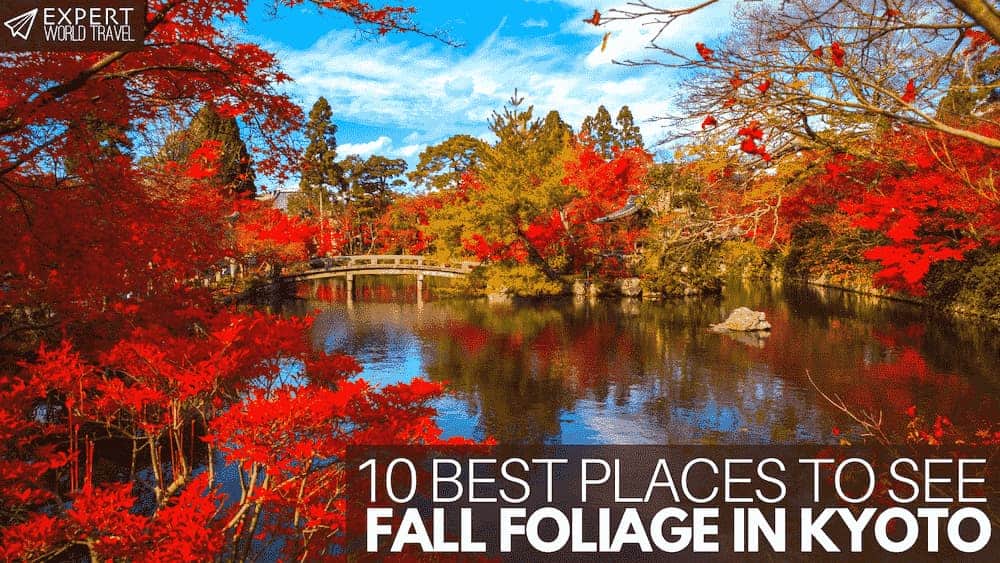 10 Best Places to See Fall Foliage in Kyoto ⋆ Expert World Travel