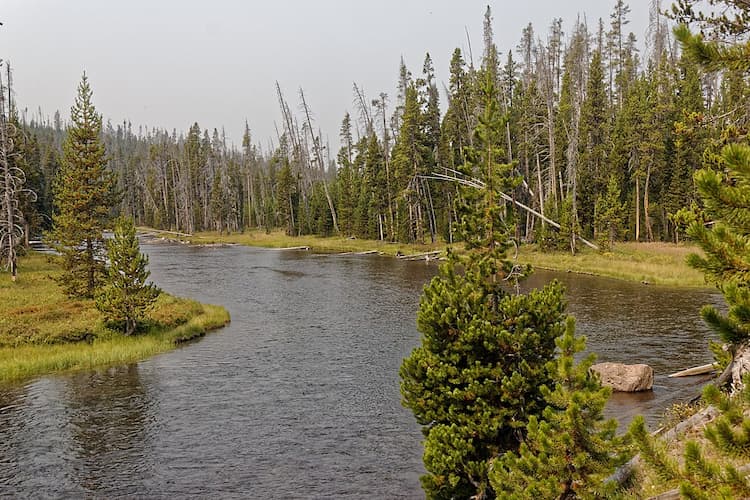 Shoshone Lake