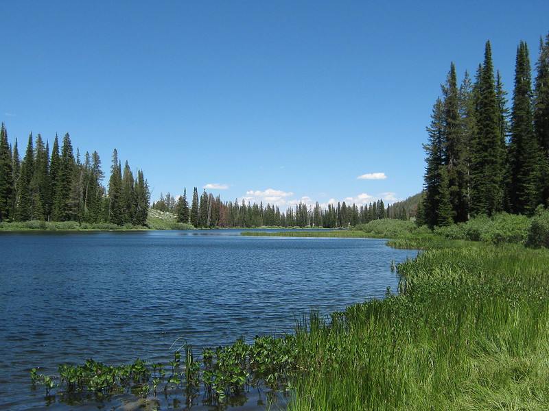 Trinity Lake