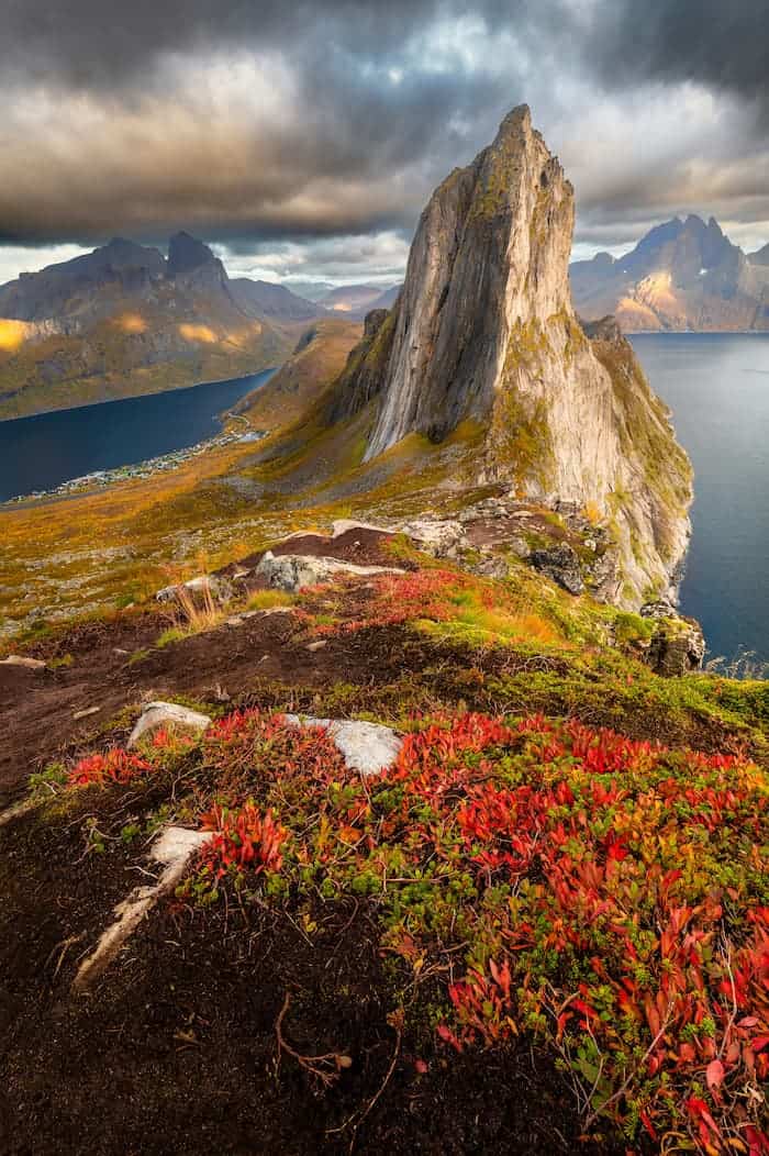 Senja