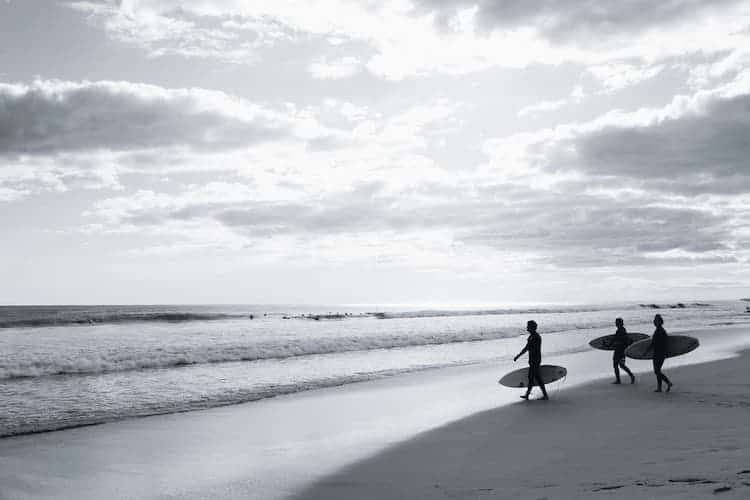 people with surfing boards