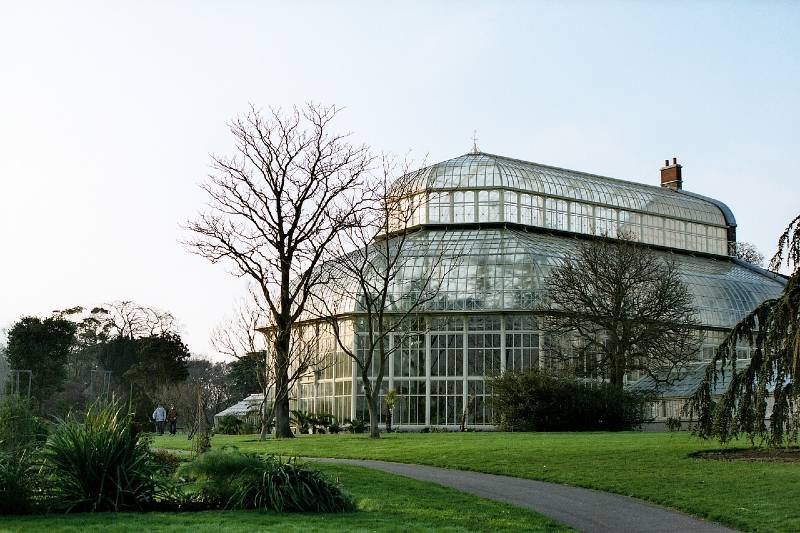 Dublin Botanic Gardens