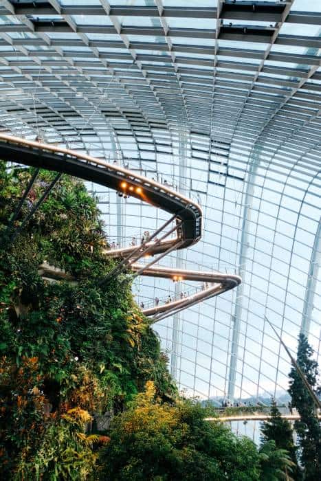 Singapore Cloud Forest