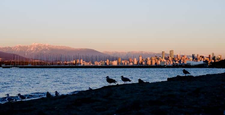 jericho beach