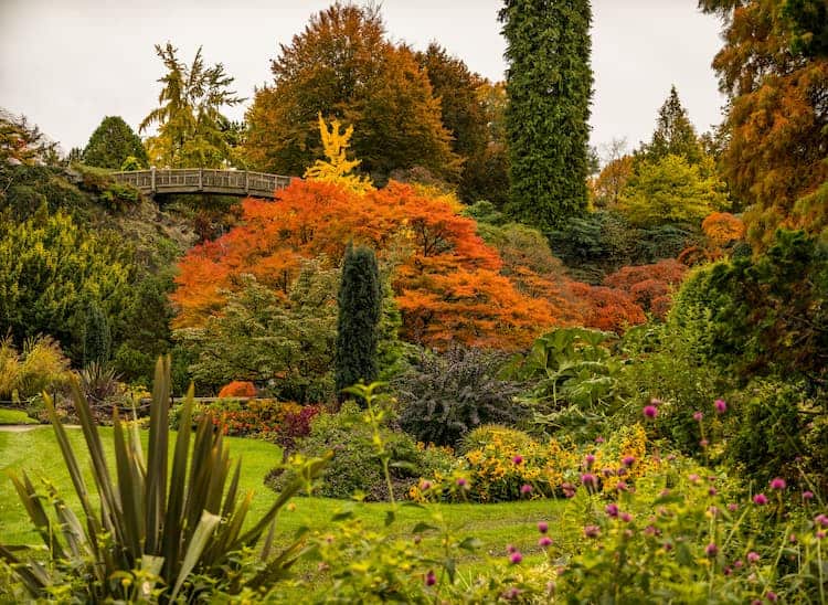 Queen Elizabeth Park
