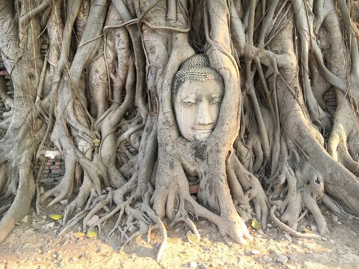 Wat Mahathat