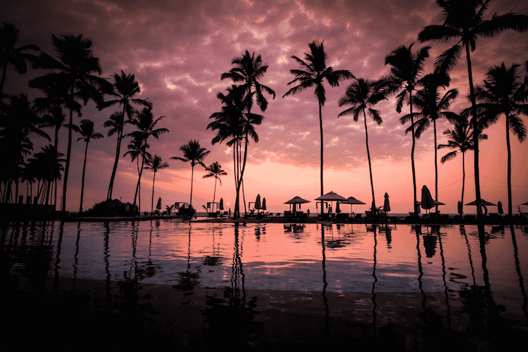 Funny Hawaii Captions