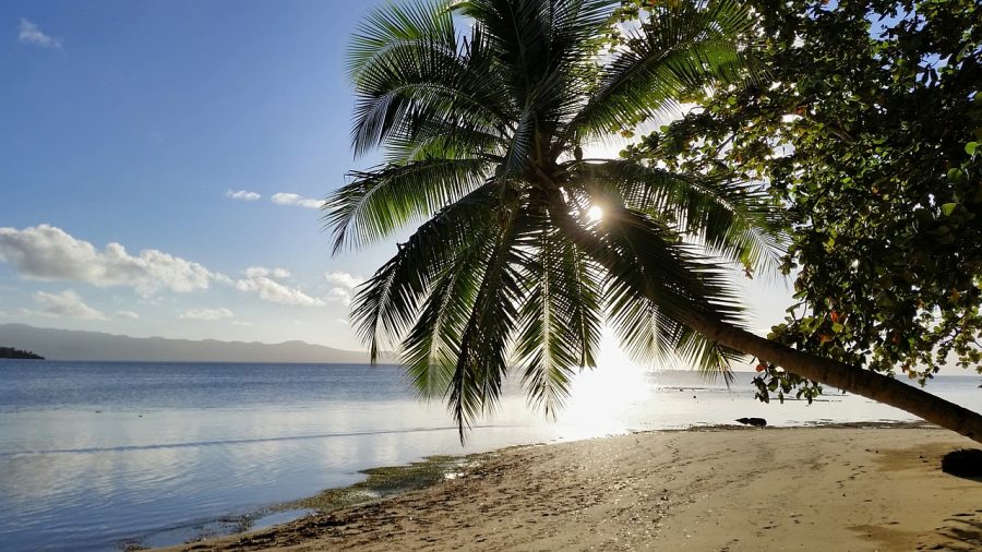 fiji island