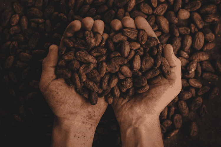 World Famous Coffee