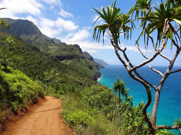 Hawaii Wilderness