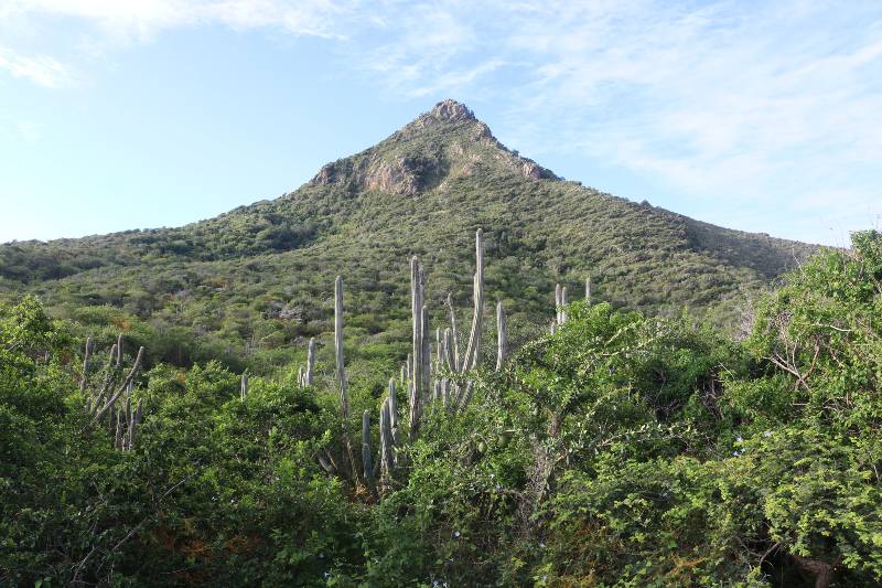 Mount Christoffel Curacao