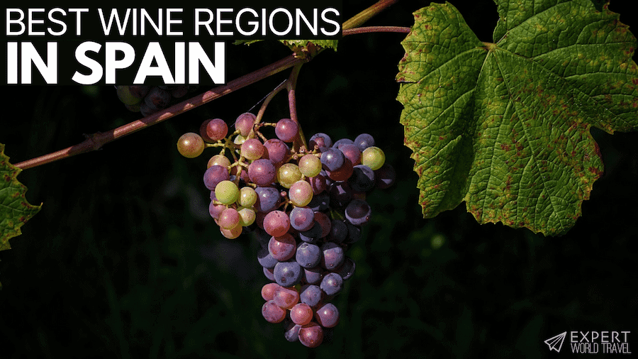 Best Wine Regions In Spain ⋆ Expert World Travel