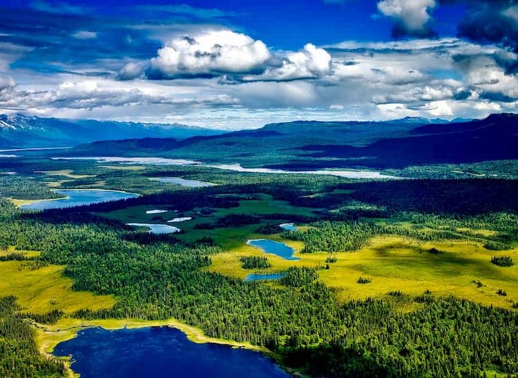 Denali National Park