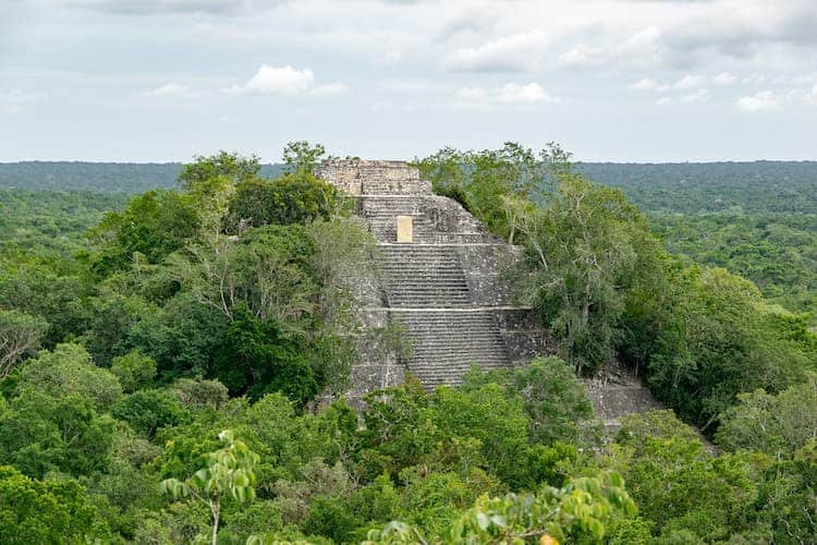Calakmul Ruins