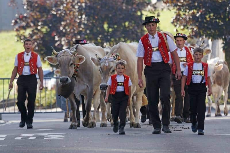 Switzerland Cow Parade