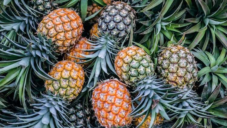 pineapple