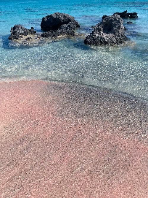 Pink Sand Beach