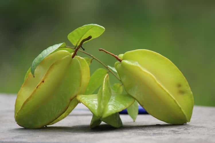 star fruit
