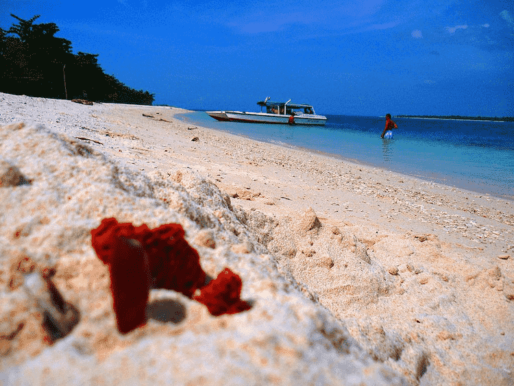 Great Santa Cruz Island