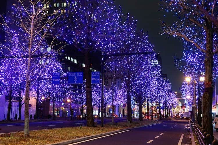 Midosuji Illumination