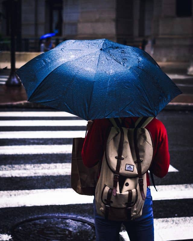 Foldable Umbrella