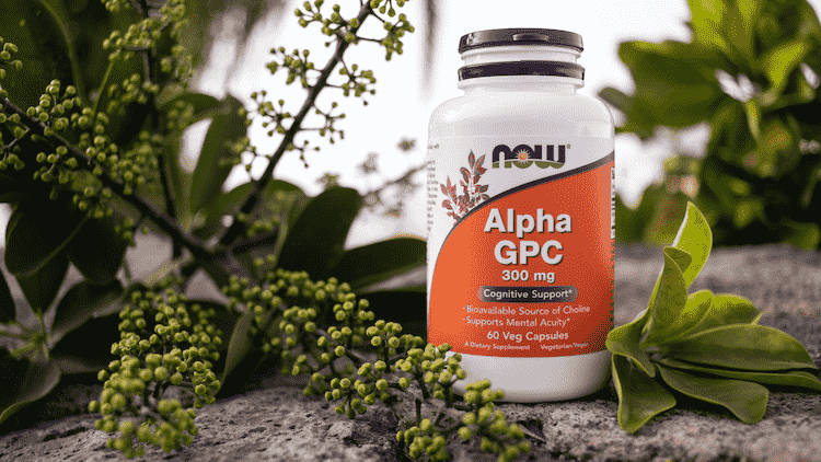 Vitamins Original Containers