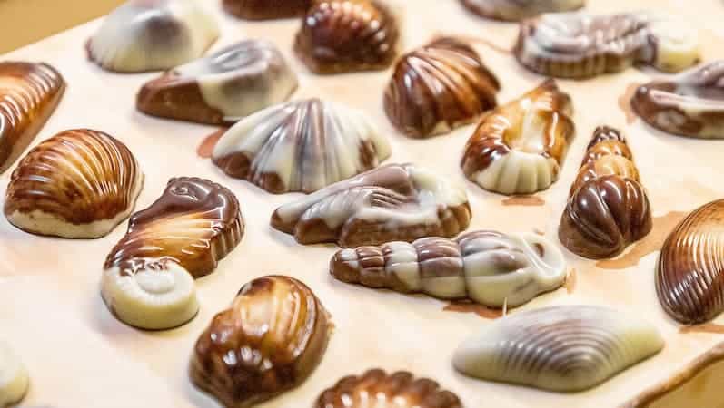 Seashells guylian chocolate